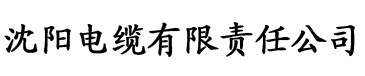 天堂视频官网破解版电缆厂logo